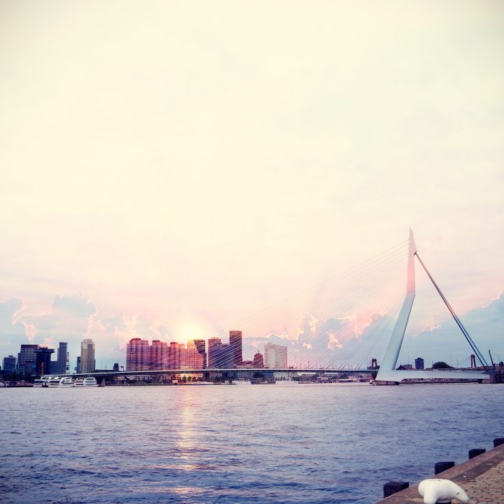 De Rotterdamse haven